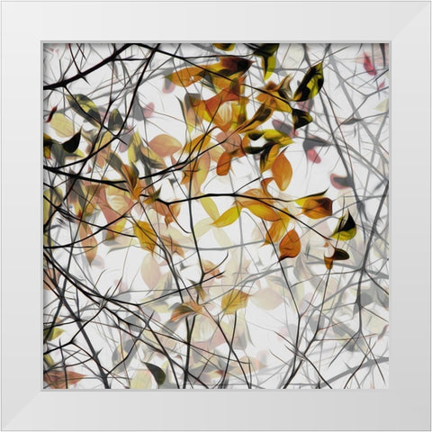 autumn song White Modern Wood Framed Art Print by Claes, Gilbert