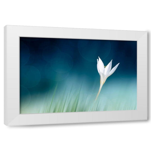 Lonely White Modern Wood Framed Art Print by Reindl, Doris