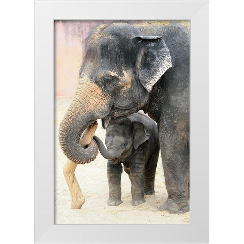 TWO White Modern Wood Framed Art Print by Wenner-Braun, Antje