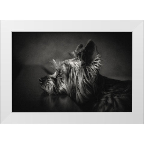 I have been waiting for you ... White Modern Wood Framed Art Print by Lacz, Krisztina