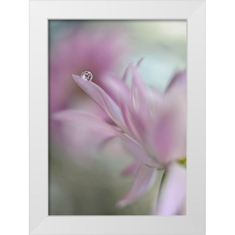 In pink delight White Modern Wood Framed Art Print by Westum, Heidi