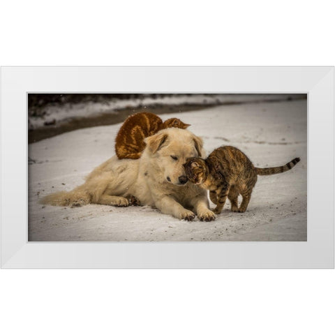 sweet effusions White Modern Wood Framed Art Print by Lucidi, Riccardo