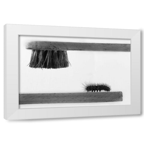 dear friend White Modern Wood Framed Art Print by Mallus, Stefano