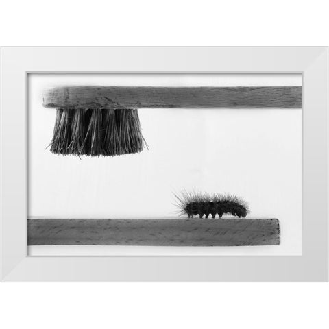 dear friend White Modern Wood Framed Art Print by Mallus, Stefano