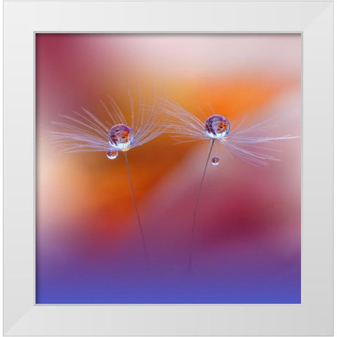 Two Worlds White Modern Wood Framed Art Print by Nan, Juliana