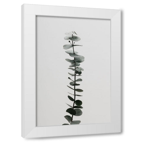 Eucalyptus Natural 02 White Modern Wood Framed Art Print by Artographie Studio