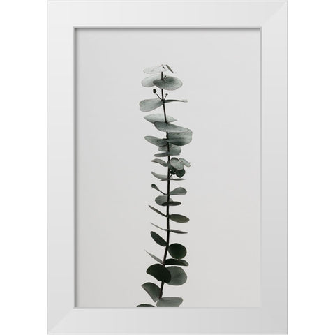 Eucalyptus Natural 02 White Modern Wood Framed Art Print by Artographie Studio