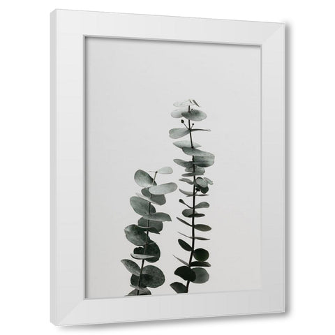 Eucalyptus Natural 03 White Modern Wood Framed Art Print by Artographie Studio