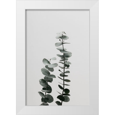 Eucalyptus Natural 03 White Modern Wood Framed Art Print by Artographie Studio