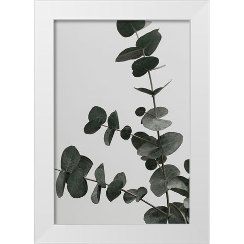 Eucalyptus Natural 05 White Modern Wood Framed Art Print by Artographie Studio