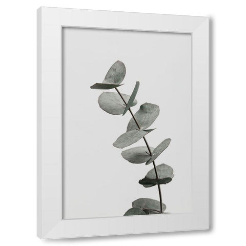 Eucalyptus Natural 06 White Modern Wood Framed Art Print by Artographie Studio