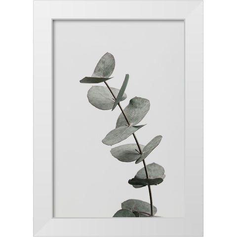 Eucalyptus Natural 06 White Modern Wood Framed Art Print by Artographie Studio