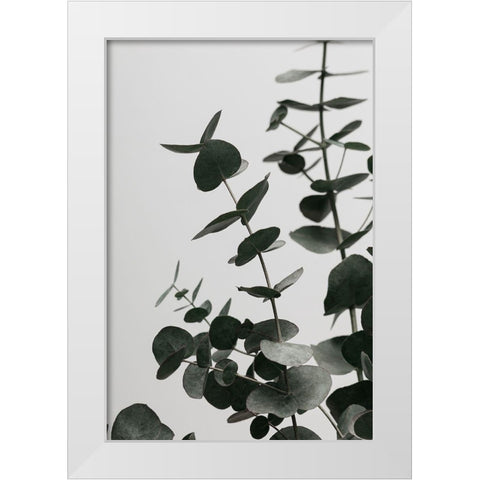 Eucalyptus Natural 08 White Modern Wood Framed Art Print by Artographie Studio