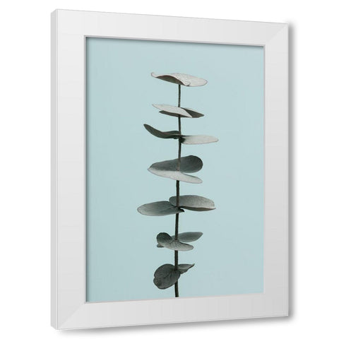 Eucalyptus Blue No 1 White Modern Wood Framed Art Print by Artographie Studio