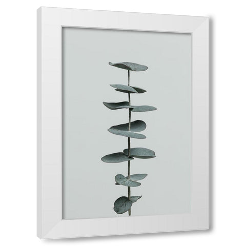 Eucalyptus Natural 09 White Modern Wood Framed Art Print by Artographie Studio