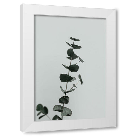 Eucalyptus Natural 10 White Modern Wood Framed Art Print by Artographie Studio