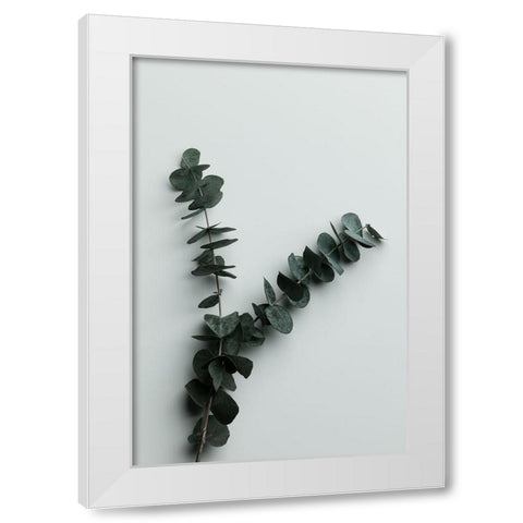 Eucalyptus Wall 02 White Modern Wood Framed Art Print by Artographie Studio
