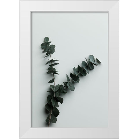 Eucalyptus Wall 02 White Modern Wood Framed Art Print by Artographie Studio