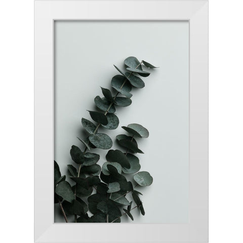 Eucalyptus Wall 01 White Modern Wood Framed Art Print by Artographie Studio