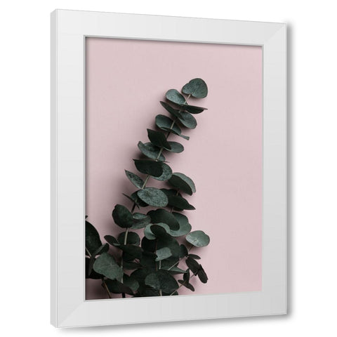 Eucalyptus Pink No02 White Modern Wood Framed Art Print by Artographie Studio