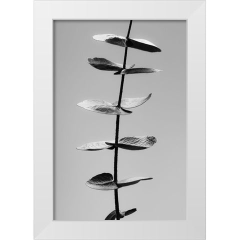 Eucalyptus Black and White White Modern Wood Framed Art Print by Artographie Studio