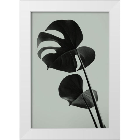 Monstera Teal 01 White Modern Wood Framed Art Print by Artographie Studio