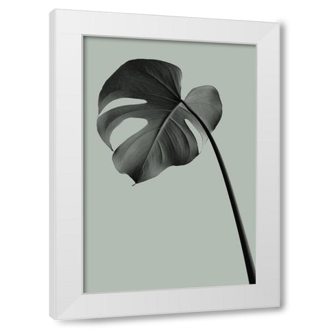 Monstera Teal 02 White Modern Wood Framed Art Print by Artographie Studio