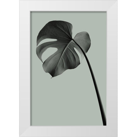 Monstera Teal 02 White Modern Wood Framed Art Print by Artographie Studio