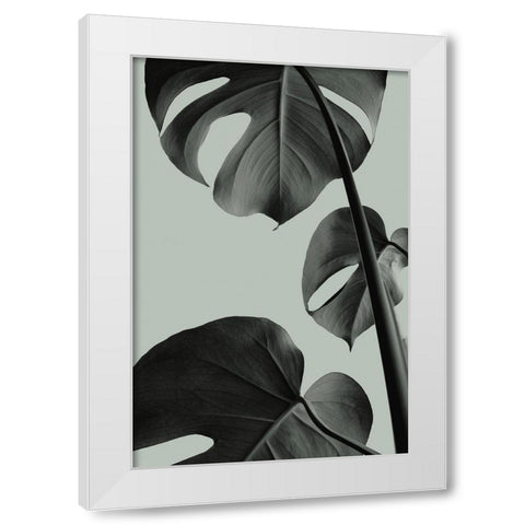 Monstera Teal 03 White Modern Wood Framed Art Print by Artographie Studio