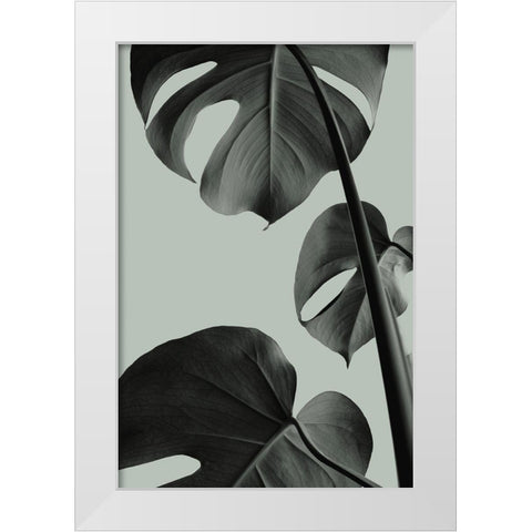 Monstera Teal 03 White Modern Wood Framed Art Print by Artographie Studio