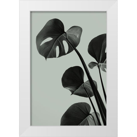 Monstera Teal 04 White Modern Wood Framed Art Print by Artographie Studio