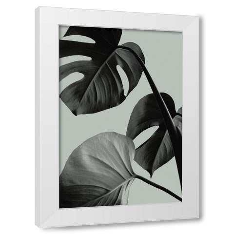 Monstera Teal 07 White Modern Wood Framed Art Print by Artographie Studio