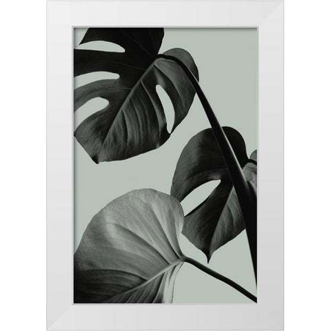 Monstera Teal 07 White Modern Wood Framed Art Print by Artographie Studio