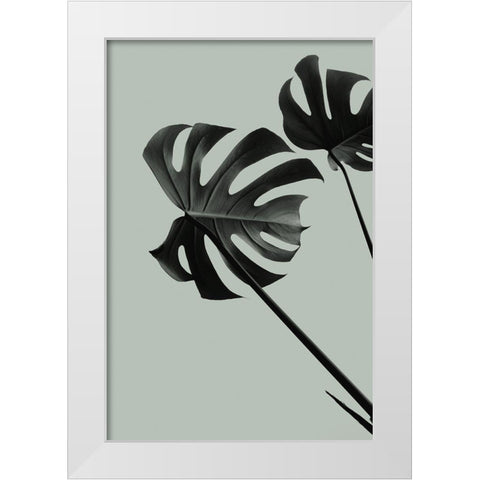Monstera Teal 09 White Modern Wood Framed Art Print by Artographie Studio