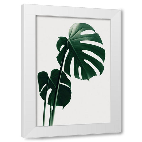 Monstera Natural 16 White Modern Wood Framed Art Print by Artographie Studio