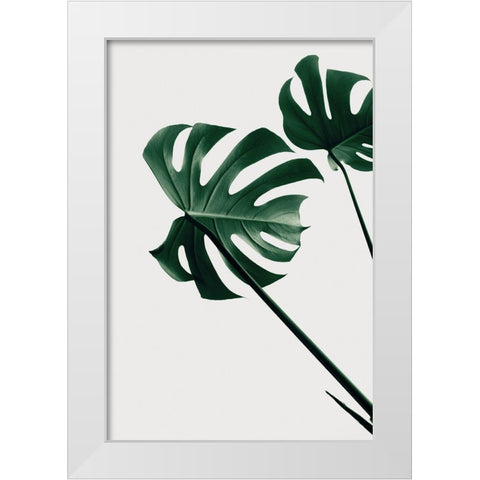 Monstera Natural 47 White Modern Wood Framed Art Print by Artographie Studio