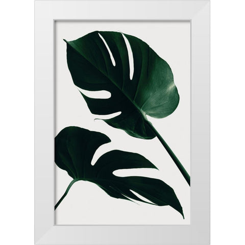 Monstera Natural 45 White Modern Wood Framed Art Print by Artographie Studio