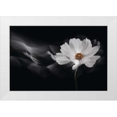 Symphony White White Modern Wood Framed Art Print by Karpova, Inna