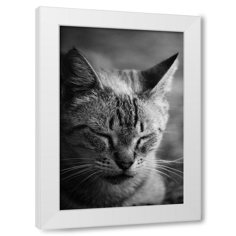 Close to the sunlight White Modern Wood Framed Art Print by Cambero Munoz, Jesus