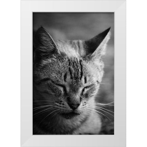 Close to the sunlight White Modern Wood Framed Art Print by Cambero Munoz, Jesus