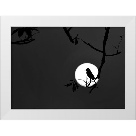 Nightingale of my Dreams White Modern Wood Framed Art Print by Maiti, Asamanj