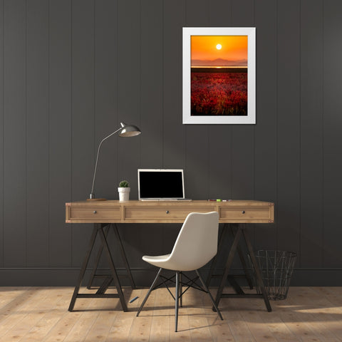 Orange Sky White Modern Wood Framed Art Print by Sono, Hidenori