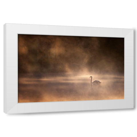 Foggy Morning White Modern Wood Framed Art Print by Zhong, John-Mei