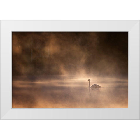 Foggy Morning White Modern Wood Framed Art Print by Zhong, John-Mei
