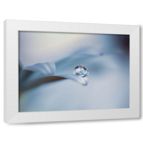 Non mi lasciare White Modern Wood Framed Art Print by Bonazza, Lara