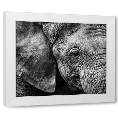 Elephant Skin White Modern Wood Framed Art Print by Garcia, Helena