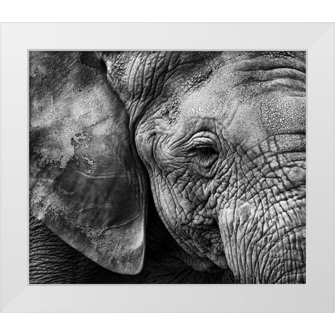 Elephant skin White Modern Wood Framed Art Print by Garcia, Helena