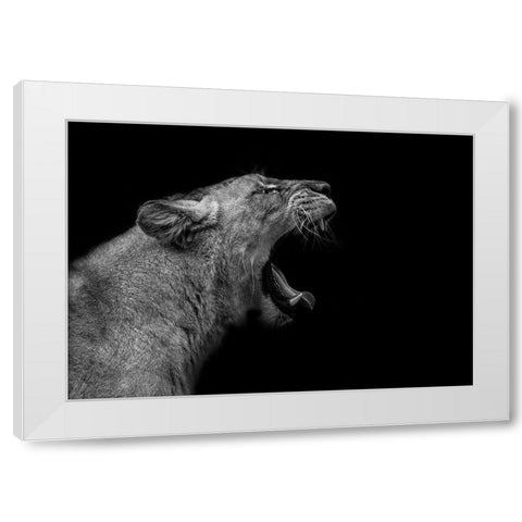 Lioness in low key White Modern Wood Framed Art Print by Nauzet Baez Photography