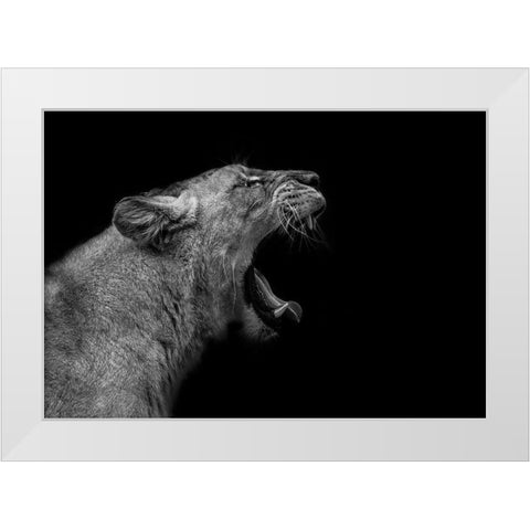 Lioness in low key White Modern Wood Framed Art Print by Nauzet Baez Photography