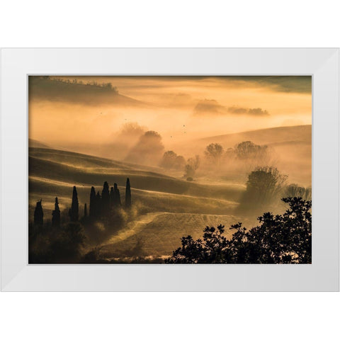 Poetry White Modern Wood Framed Art Print by Doretti, Pamela